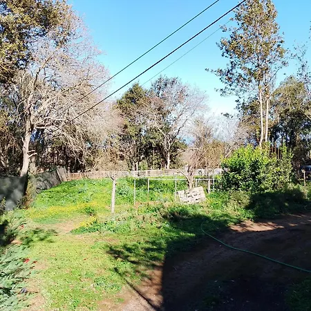 Naturaleza Es Vida *