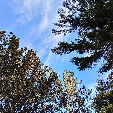 Naturaleza Es Vida La Laguna (Tenerife)