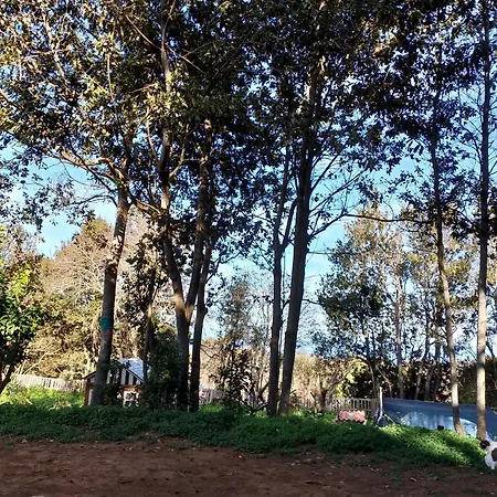 Naturaleza Es Vida La Laguna