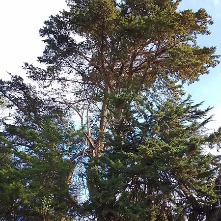 Naturaleza Es Vida 라 라구나