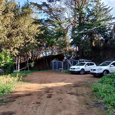 Naturaleza Es Vida 라 라구나