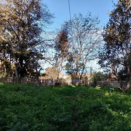 Naturaleza Es Vida * 라 라구나