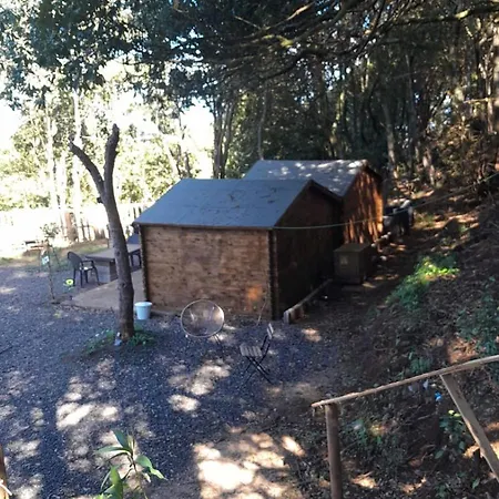 Naturaleza Es Vida La Laguna (Tenerife)